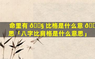 命里有 🐧 比格是什么意 🌷 思「八字比肩格是什么意思」